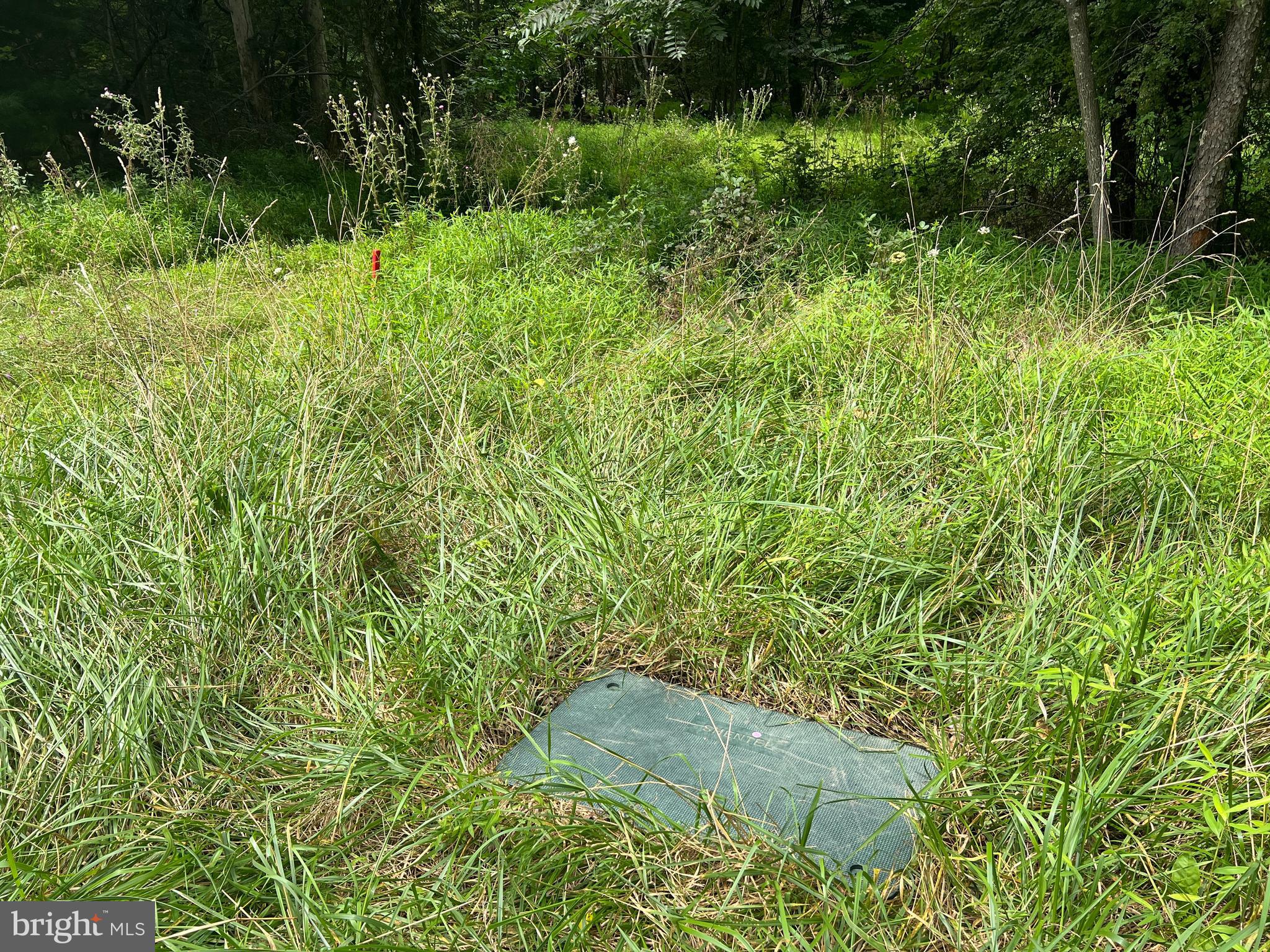 Timber Ridge Mount Mount Jackson, VA 22842 - Photo 26 of 37 a view of a garden