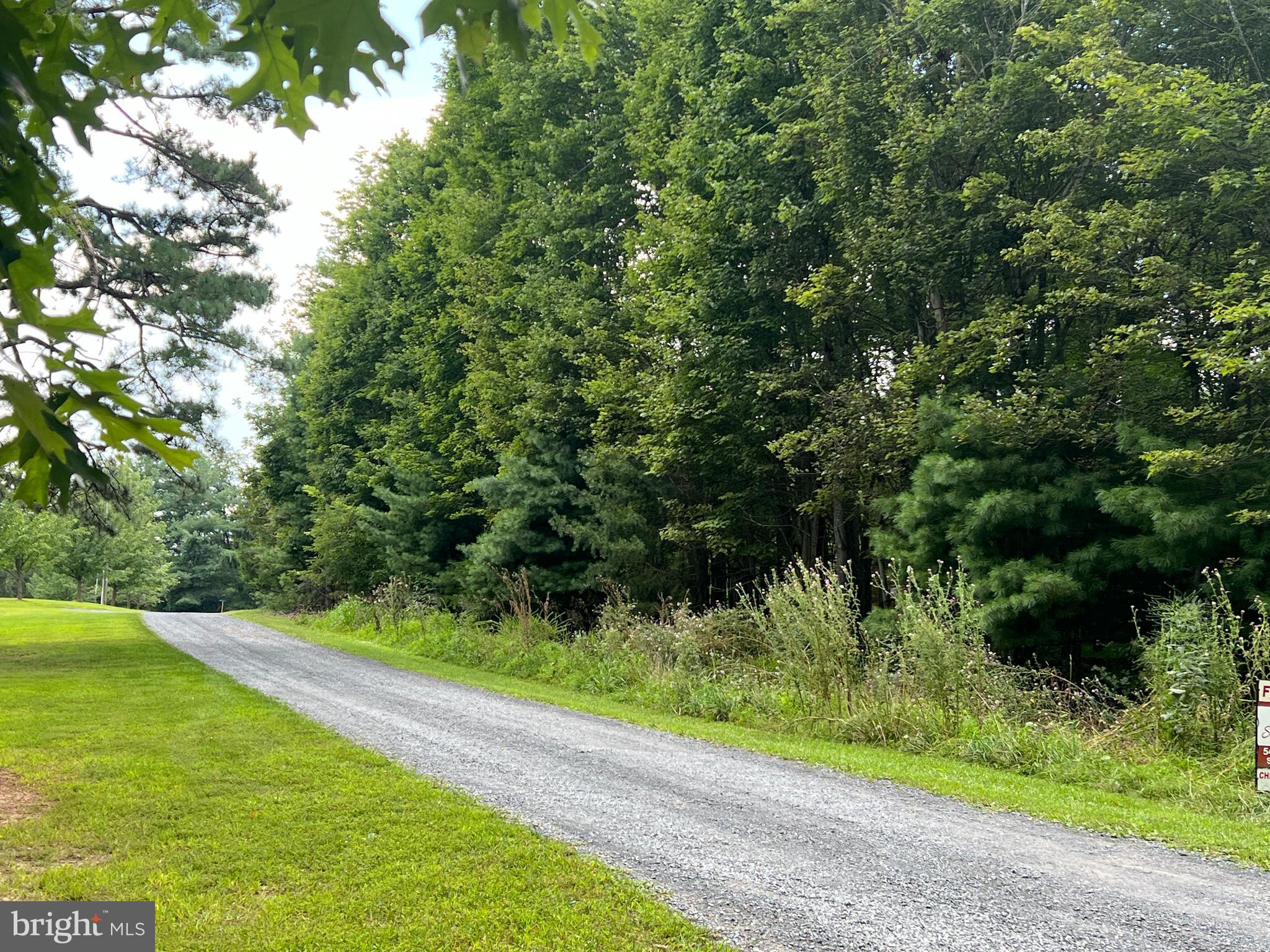 Timber Ridge Mount Mount Jackson, VA 22842 - Photo 31 of 37 a view of a yard with a trees