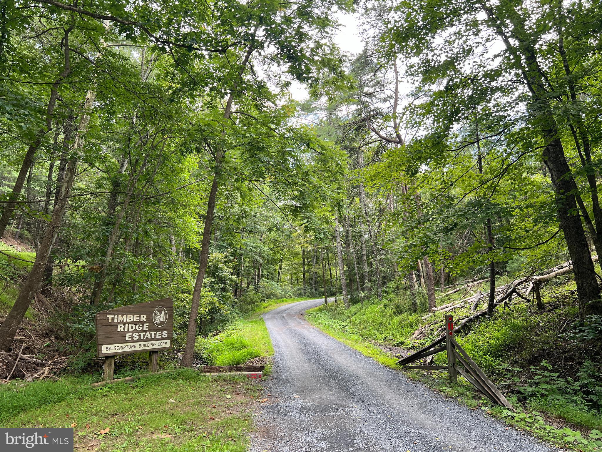 Timber Ridge Mount Mount Jackson, VA 22842 - Photo 33 of 37