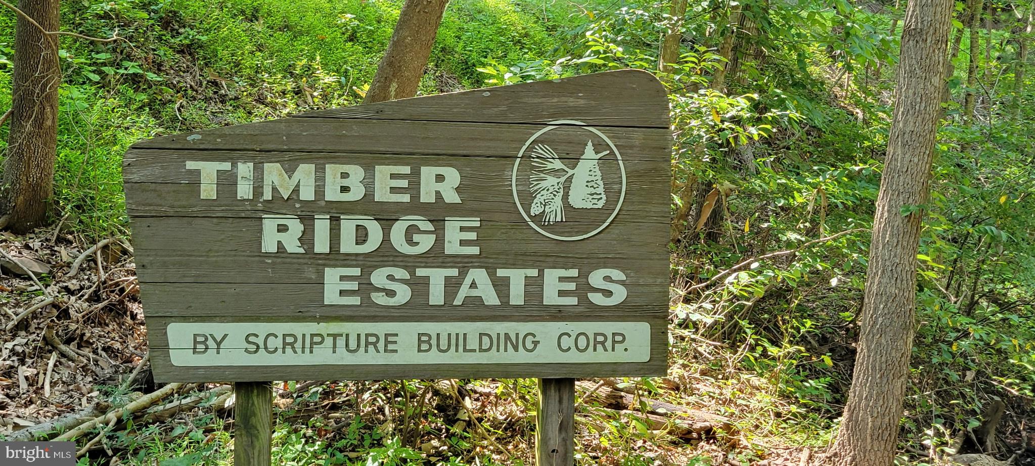 Timber Ridge Mount Mount Jackson, VA 22842 - Photo 34 of 37 a view of sign board