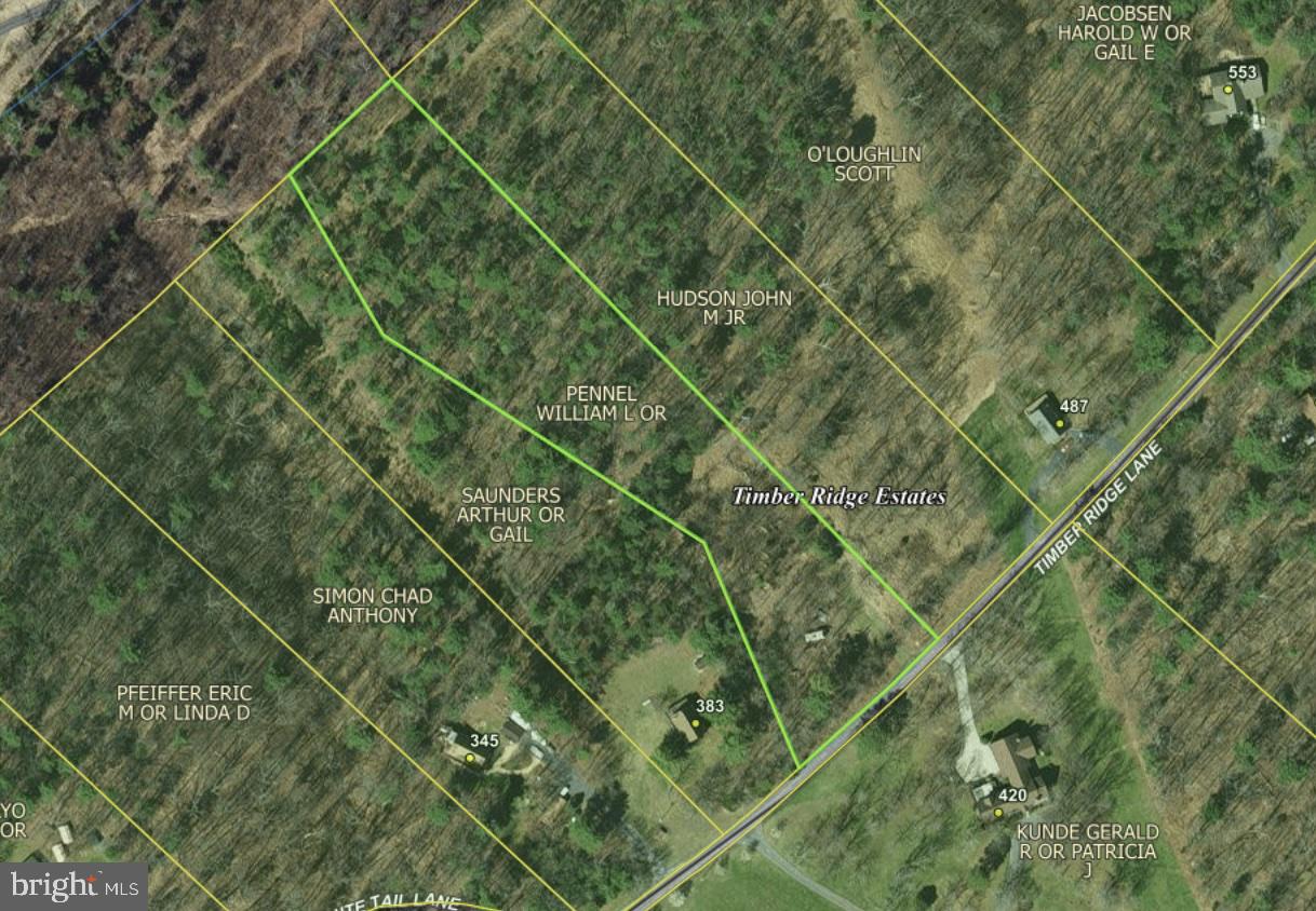 Timber Ridge Mount Mount Jackson, VA 22842 - Photo 37 of 37