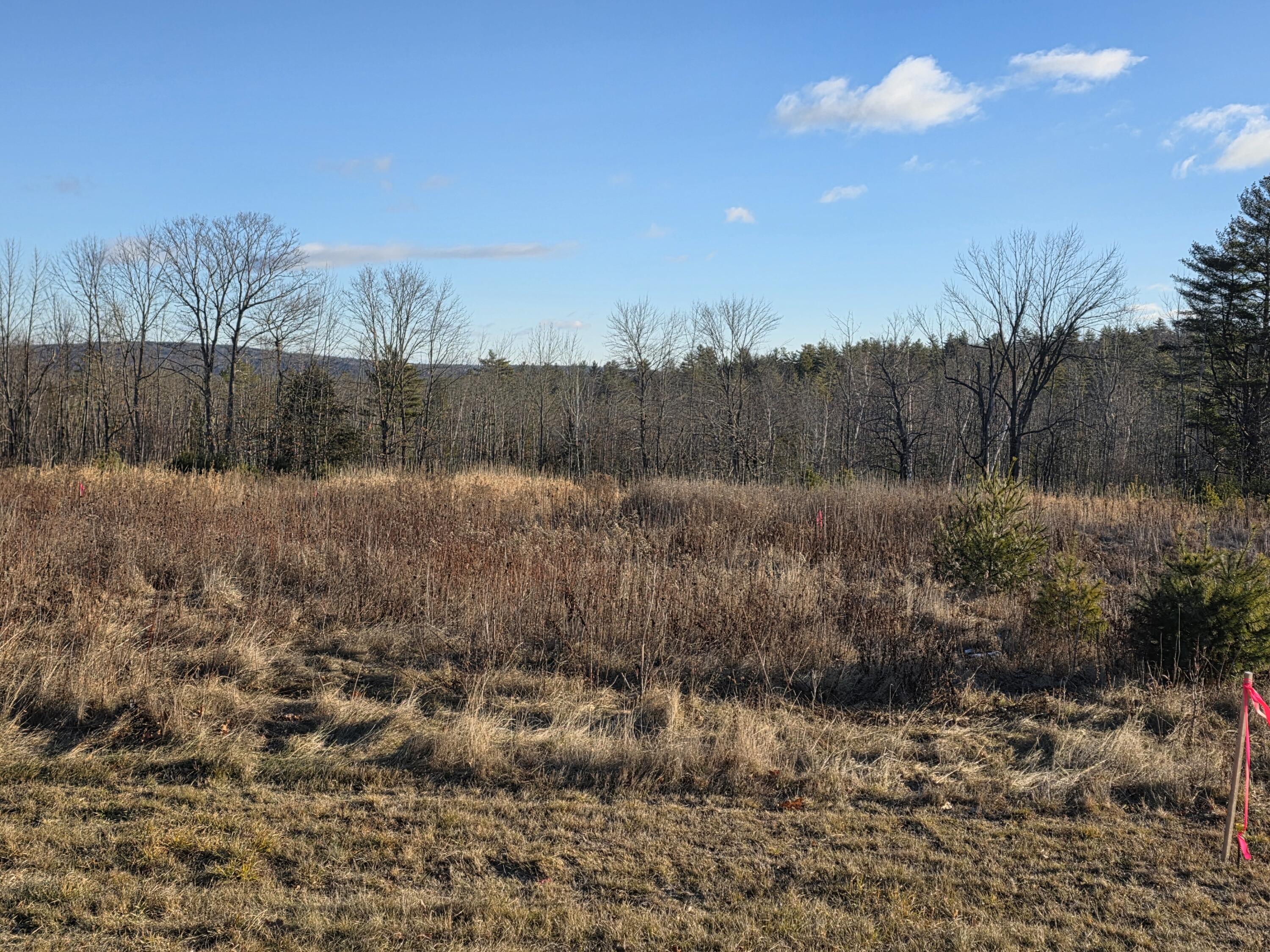 Lot 7 Off Lane Road Mechanic Falls, ME 04256 - Photo 5 of 6 20251222_085306 1