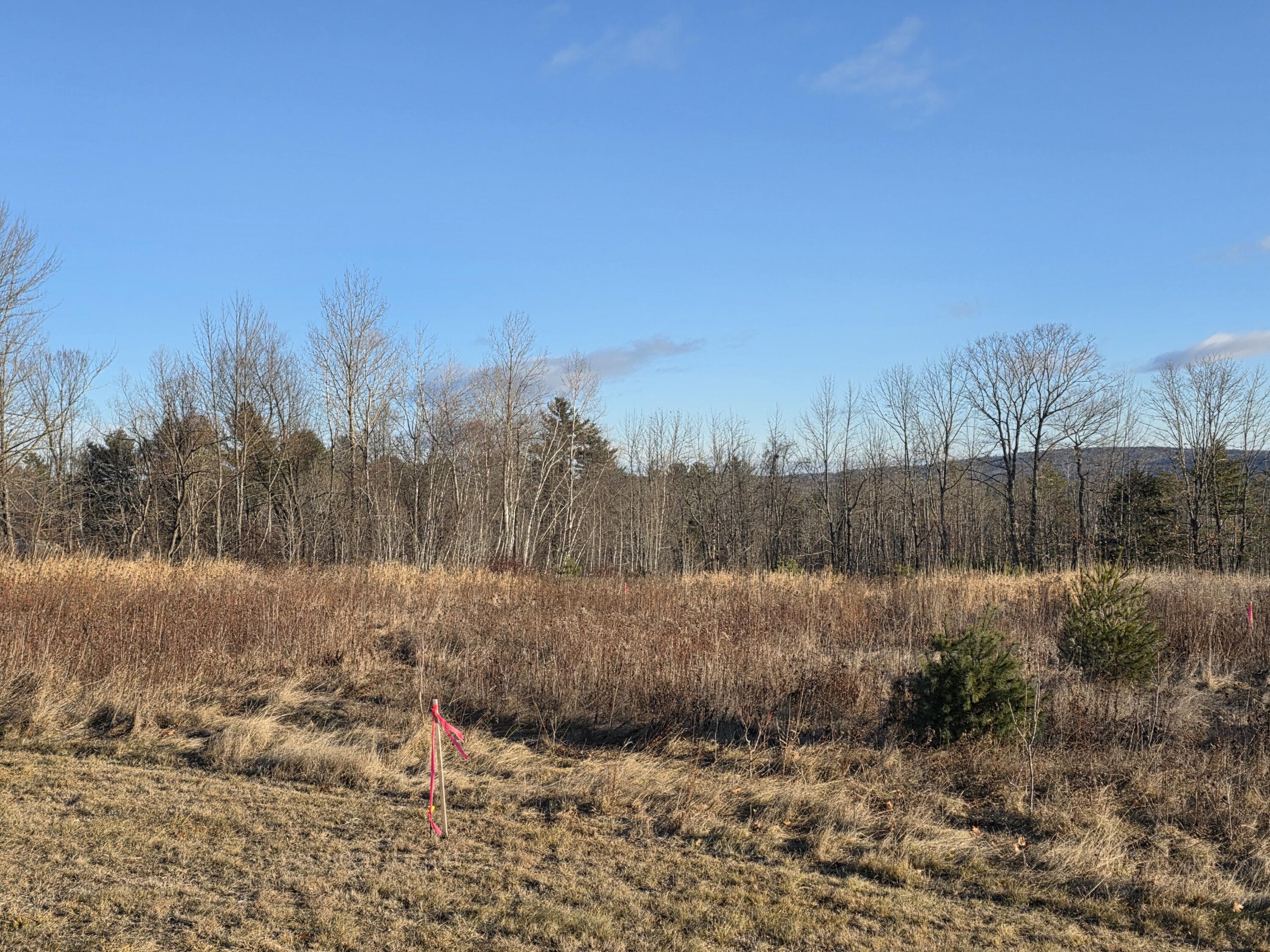 Lot 7 Off Lane Road Mechanic Falls, ME 04256 - Photo 6 of 10 20251222_085254