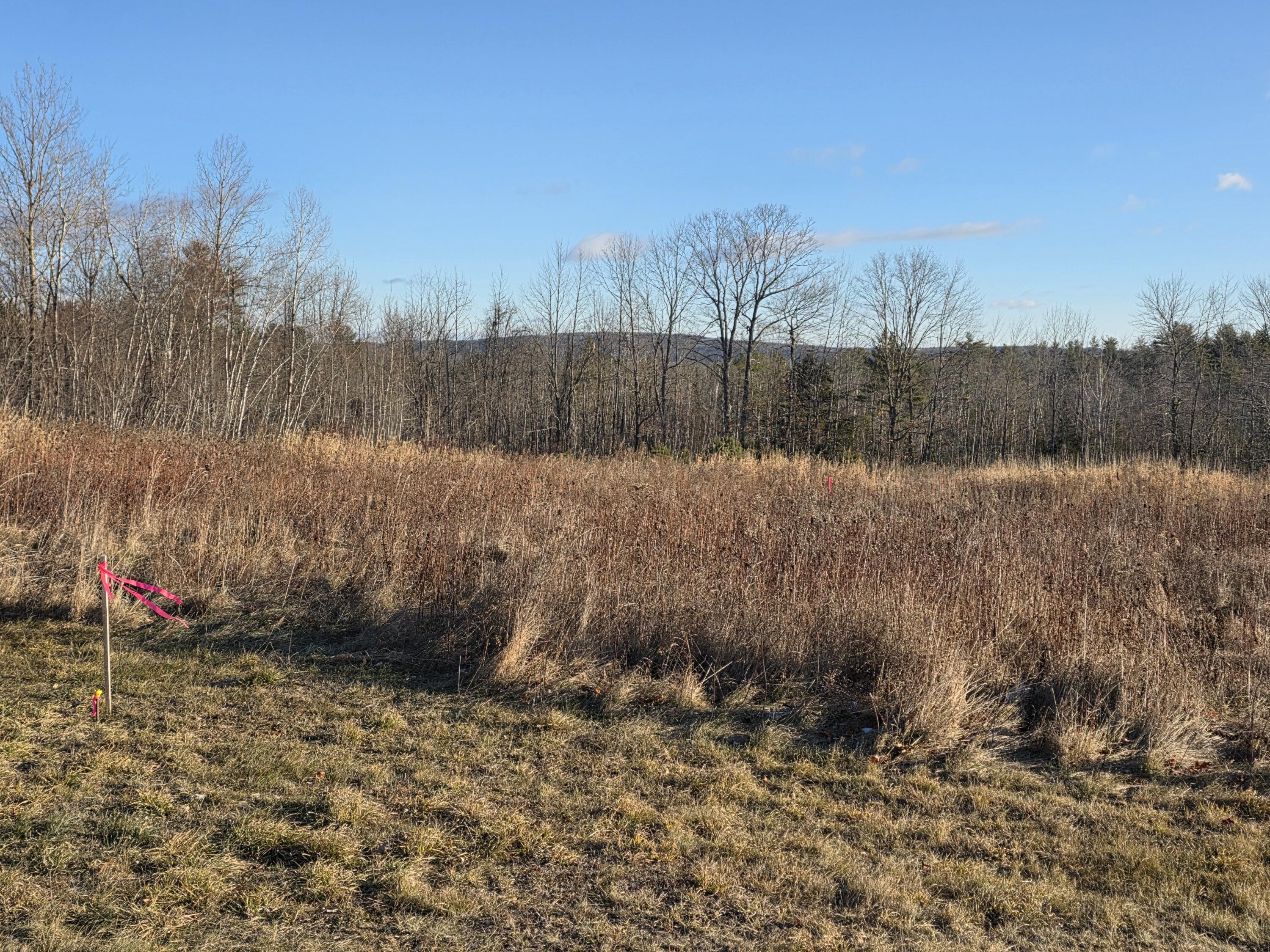 Lot 7 Off Lane Road Mechanic Falls, ME 04256 - Photo 10 of 10 20251222_085315