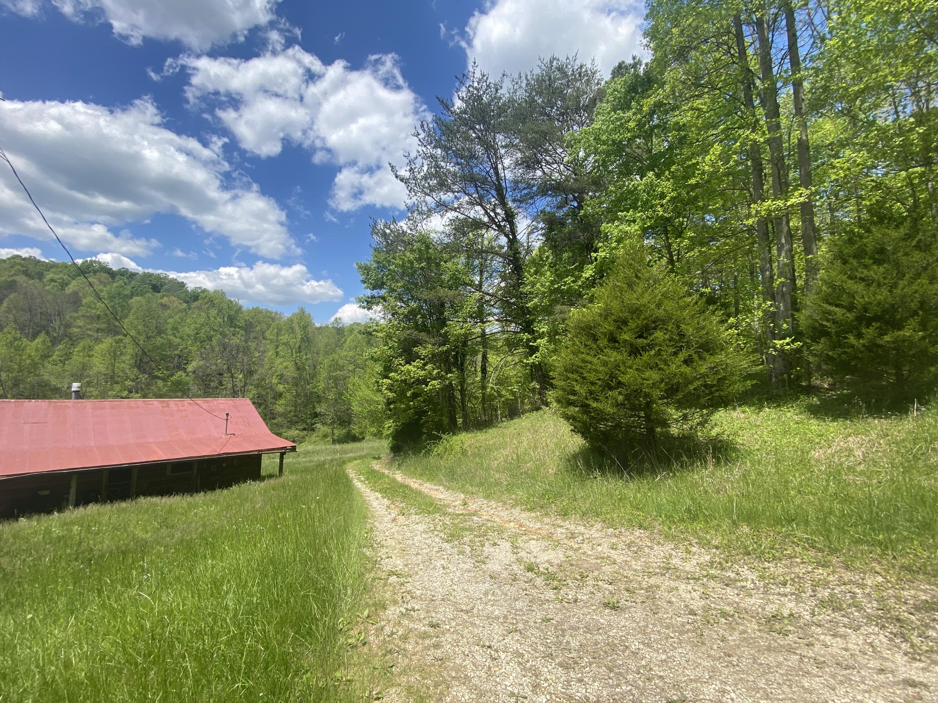3500 Salt Rock Road McKee, KY 40447 - Photo 5 of 23 Driveway