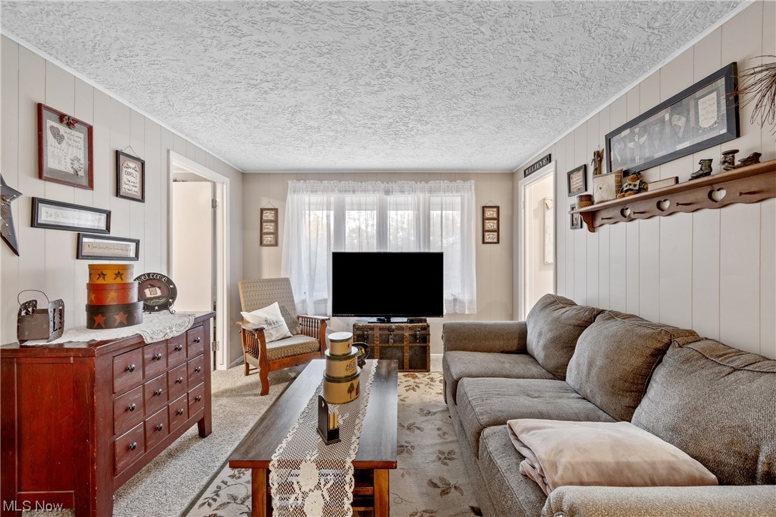 5369 Ridge Avenue Southeast Canton, OH 44707 - Photo 14 of 33 Carpeted living room with a textured ceiling