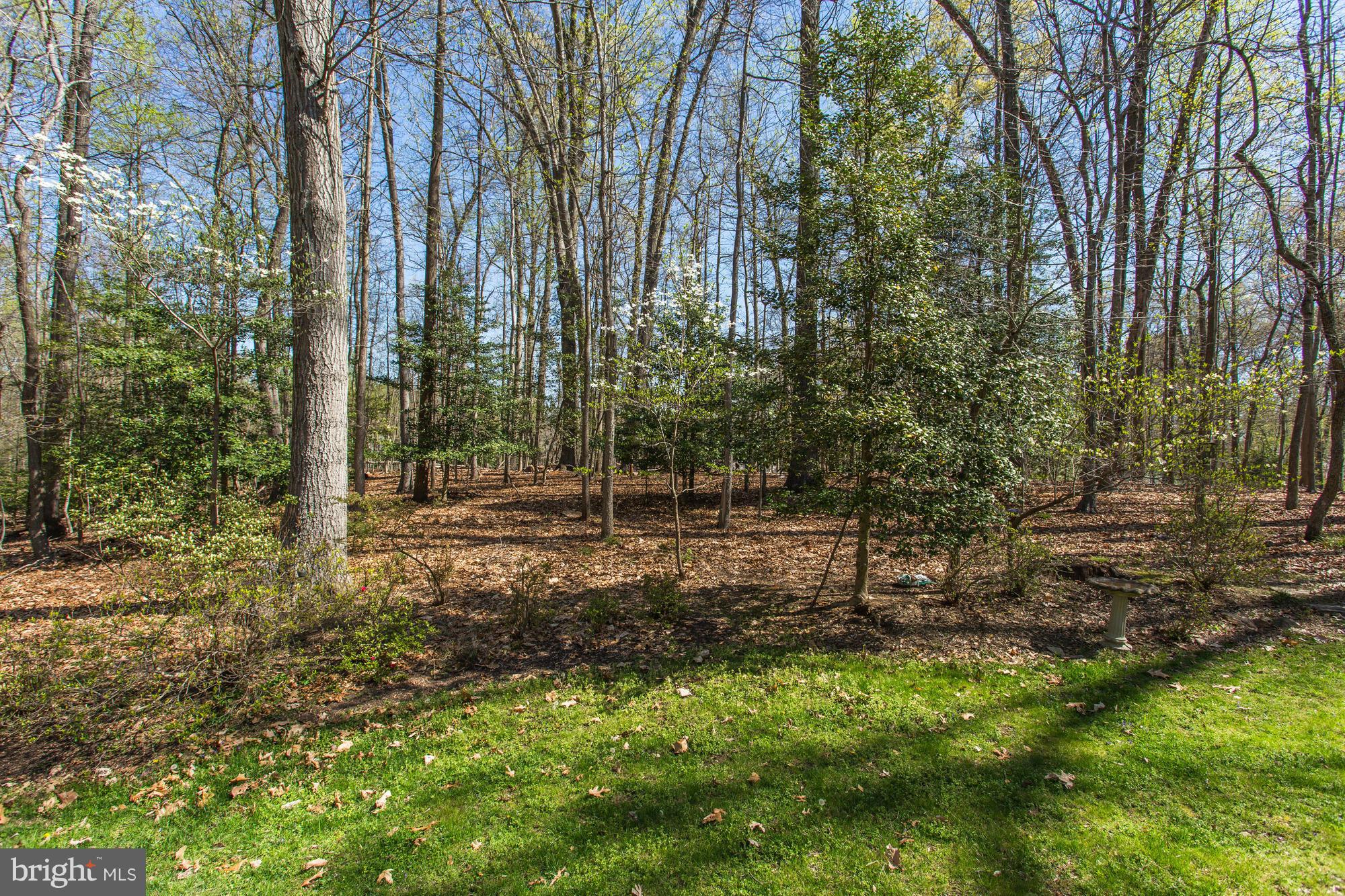 11808 Valley Road Fairfax, VA 22033 - Photo 26 of 26 Exterior (Rear)