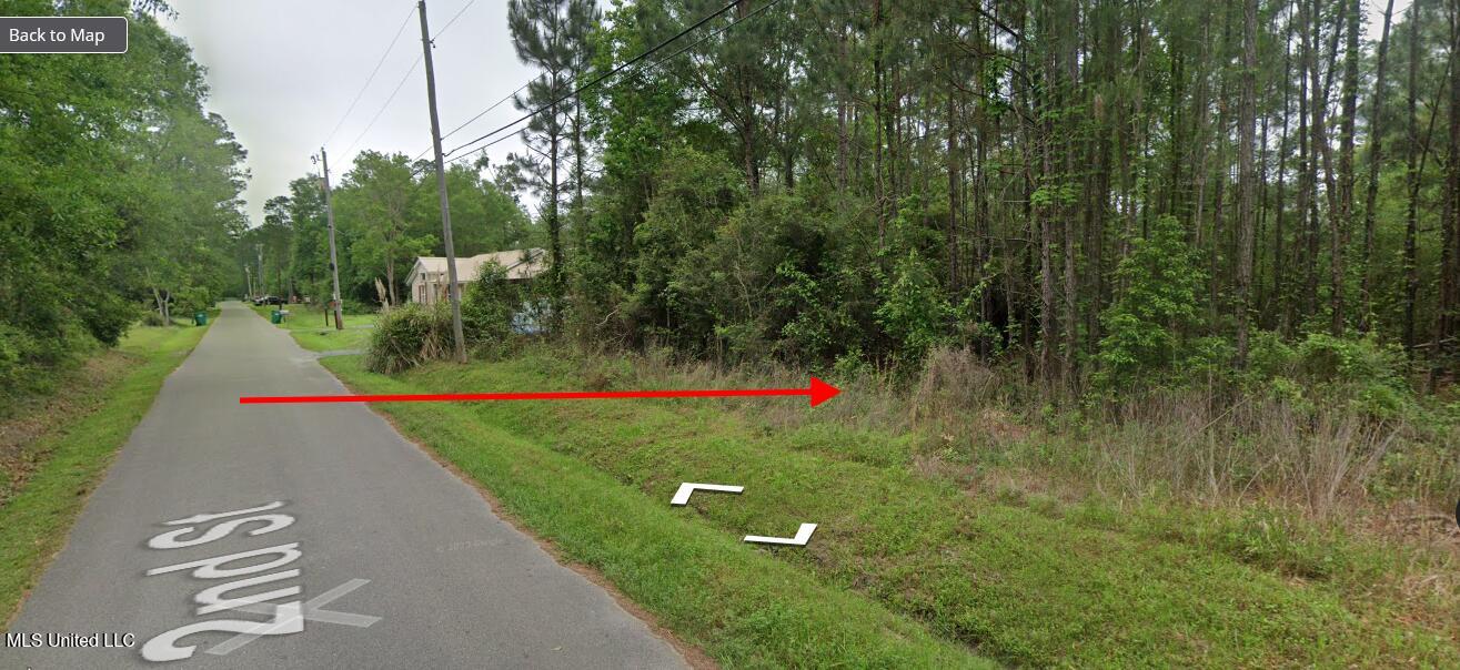 4155 2nd Street Bay St. Louis, MS 39520 - Photo 4 of 11 Beaver4