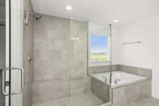 a bathroom with a bath tub and shower