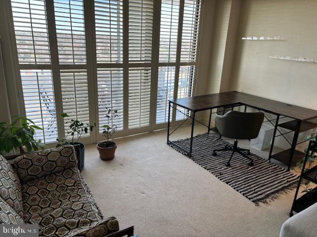 5101 River Road, Unit 1911 Bethesda, MD 20816 - Photo 5 of 32 a living room with furniture and a potted plant