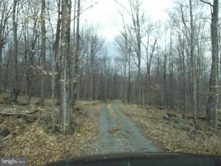421 Head Road Mount Storm, WV 26739 - Photo 11 of 64 Gallery Image 11