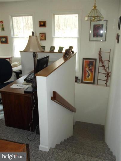 421 Head Road Mount Storm, WV 26739 - Photo 19 of 64 Gallery Image 19
