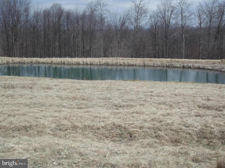 421 Head Road Mount Storm, WV 26739 - Photo 9 of 64 Gallery Image 9