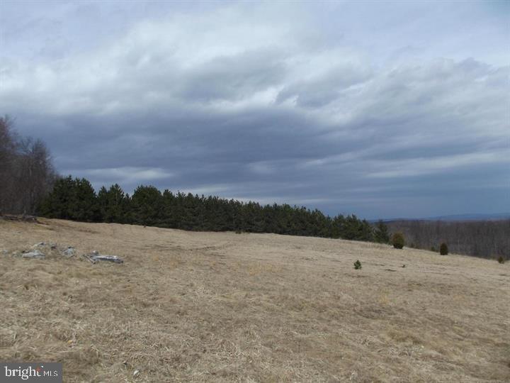 421 Head Road Mount Storm, WV 26739 - Photo 10 of 64 Gallery Image 10