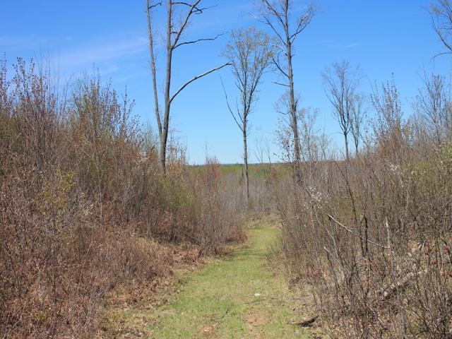 19081 Erickson Drive Dunbar, WI 54119 - Photo 65 of 87