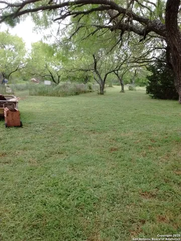 a view of yard with tree