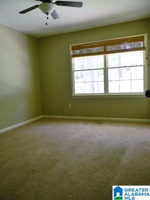 100 Lee Lane Alabaster, AL 35007 - Photo 9 of 48