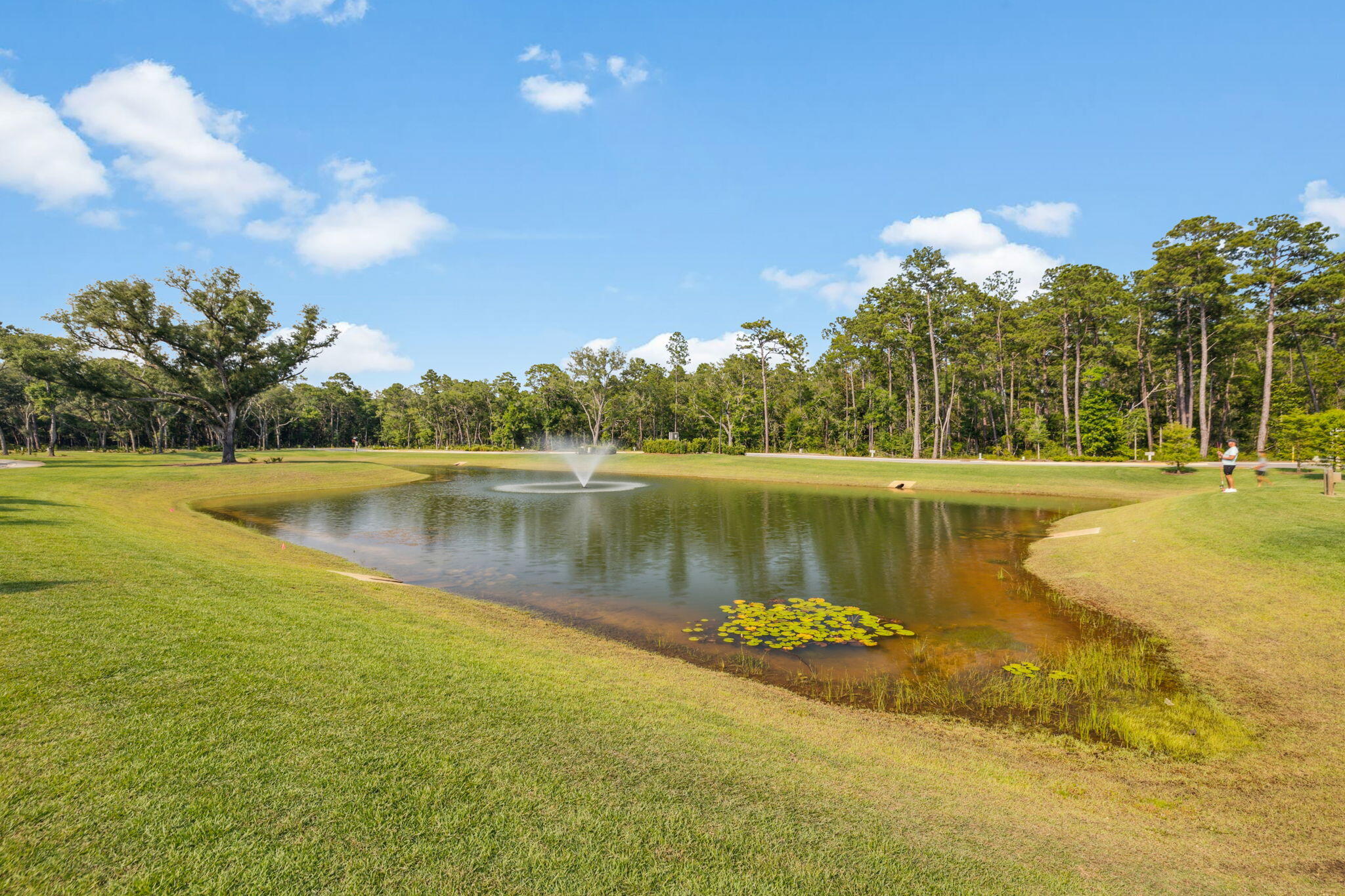 53 Millstone Dr Point Santa Rosa Beach, FL 32459 - Photo 54 of 63 Array_53MillstoneDr-82
