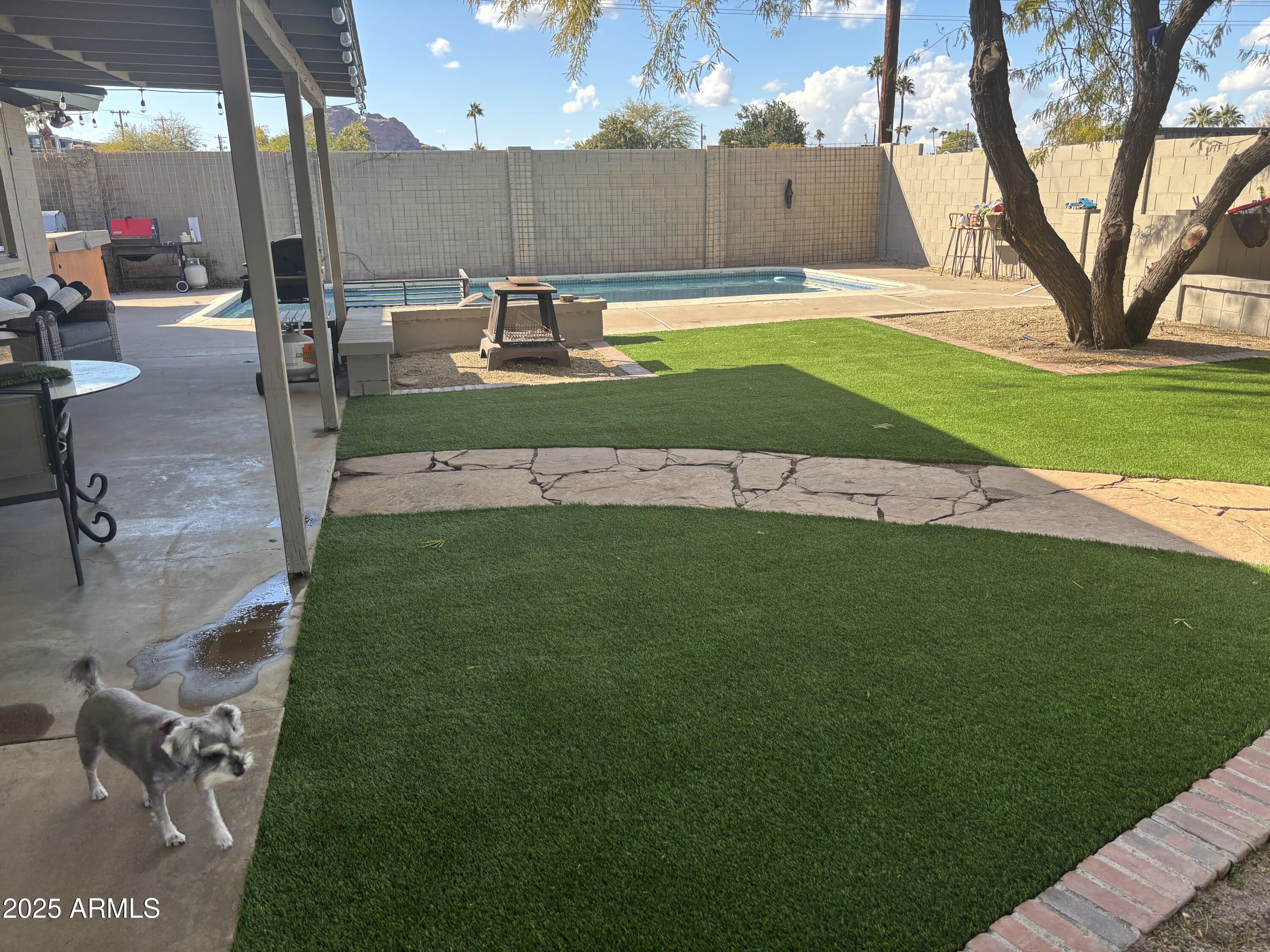 6626 East Granada Road Scottsdale, AZ 85257 - Photo 22 of 26 Granada yardIMG_1687 2