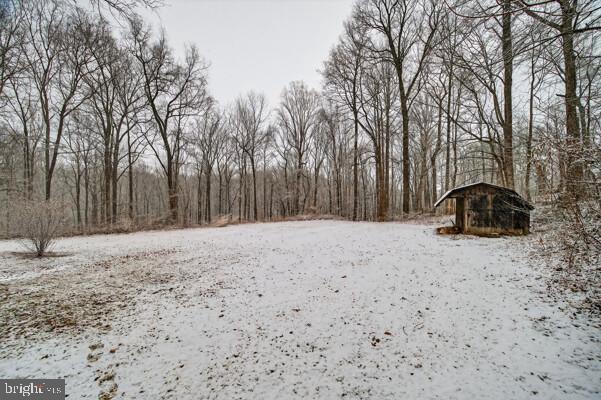 2130 Leon Road Culpeper, VA 22701 - Photo 37 of 47 Flat Rear Yard with Shed