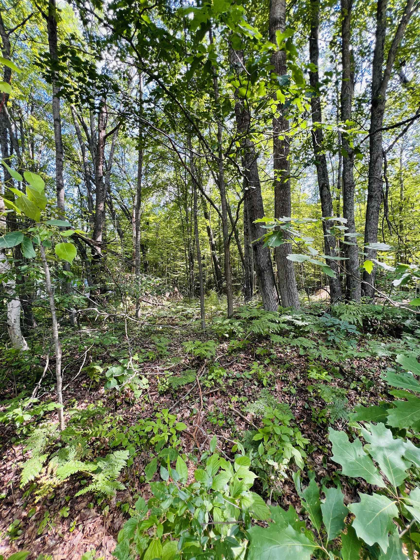 Lot 789 Redwine Roscommon, MI 48653 - Photo 4 of 7 1947301-b7b92a2d-b8f7-4822-8e37-66f9f771c78a.JPG