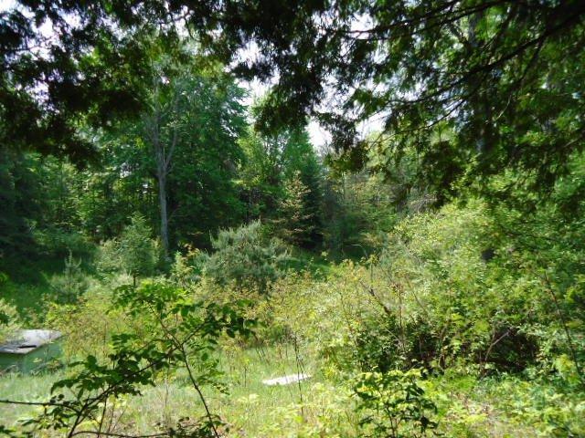 East Baseline Rd Ferry Shelby, MI 49455 - Photo 3 of 9 Additional Photo