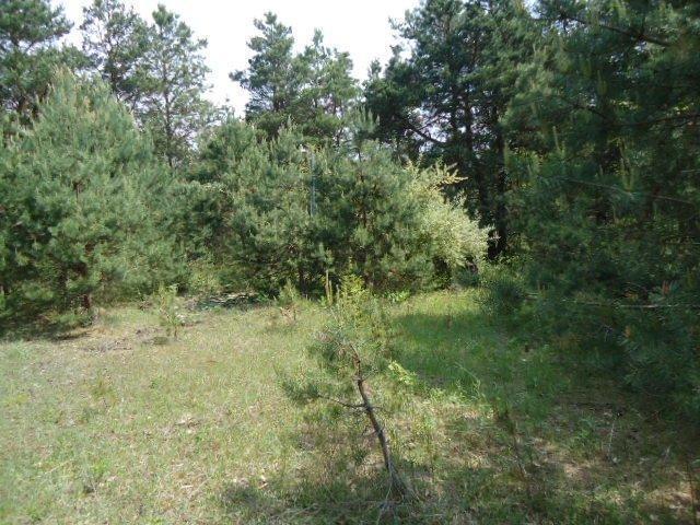 East Baseline Rd Ferry Shelby, MI 49455 - Photo 7 of 9 Additional Photo