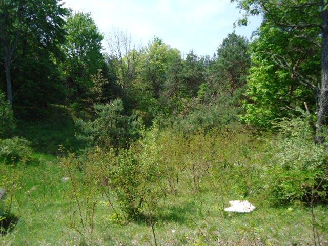 East Baseline Rd Ferry Shelby, MI 49455 - Photo 8 of 9 Additional Photo