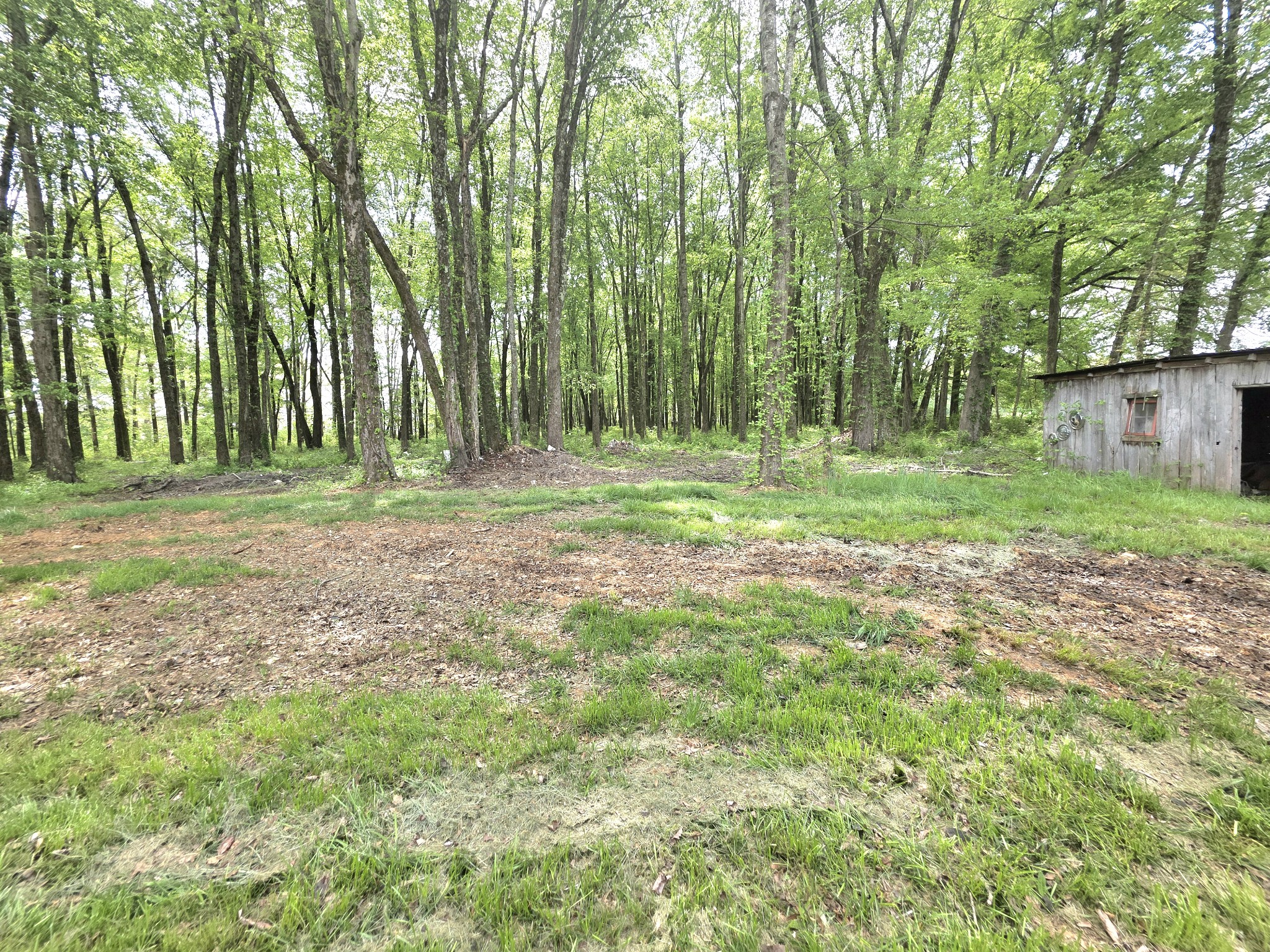 1151 Dry Creek Road Smithville, TN 37166 - Photo 47 of 65