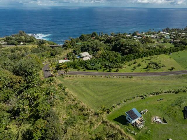 a view of a grassy area with an ocean
