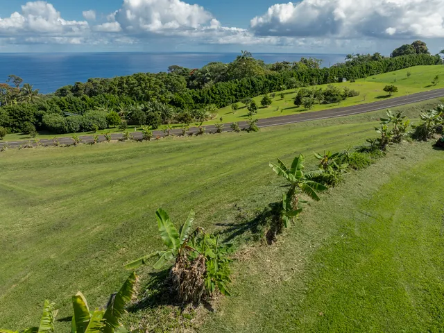 a view of a large yard with lots of green space