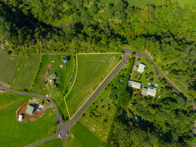 a view of a garden with plants