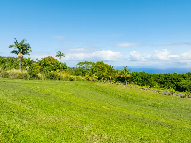 a view of a lake with a yard
