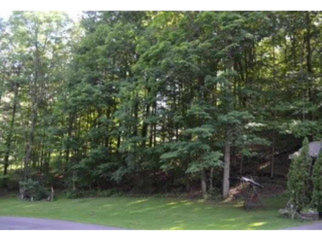 1949 Foster Valley Road Owego, NY 13827 - Photo 30 of 33 Gallery Image 30