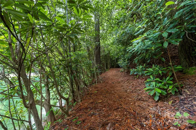 $844,000 | 68 Huckleberry Ridge Lane, Zirconia, NC 28790