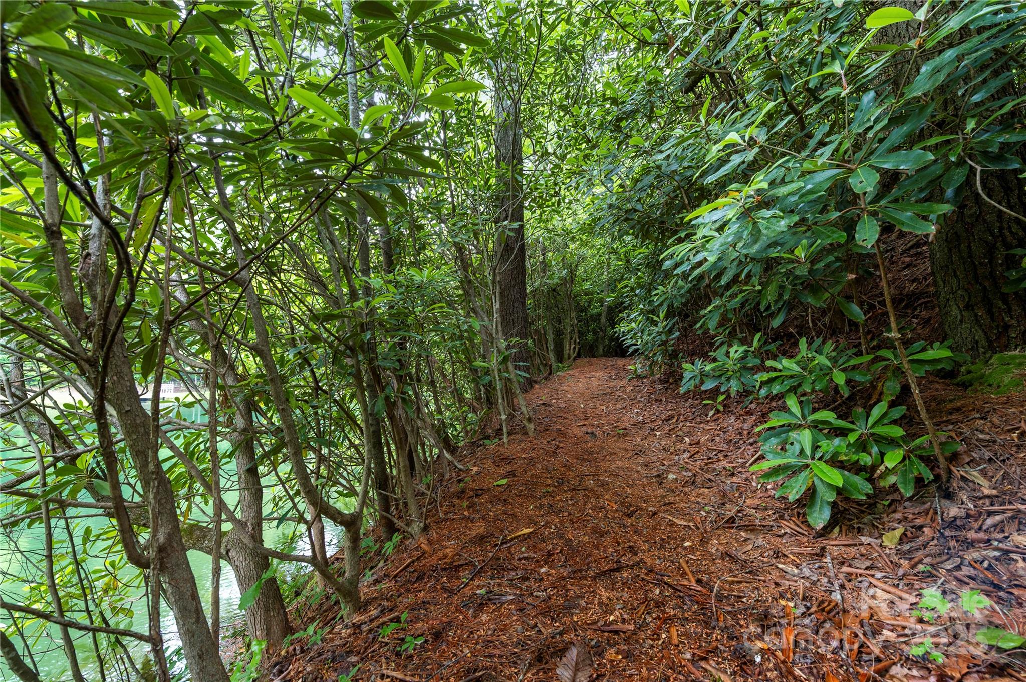68 Huckleberry Ridge Lane Zirconia, NC 28790 - Photo 32 of 45