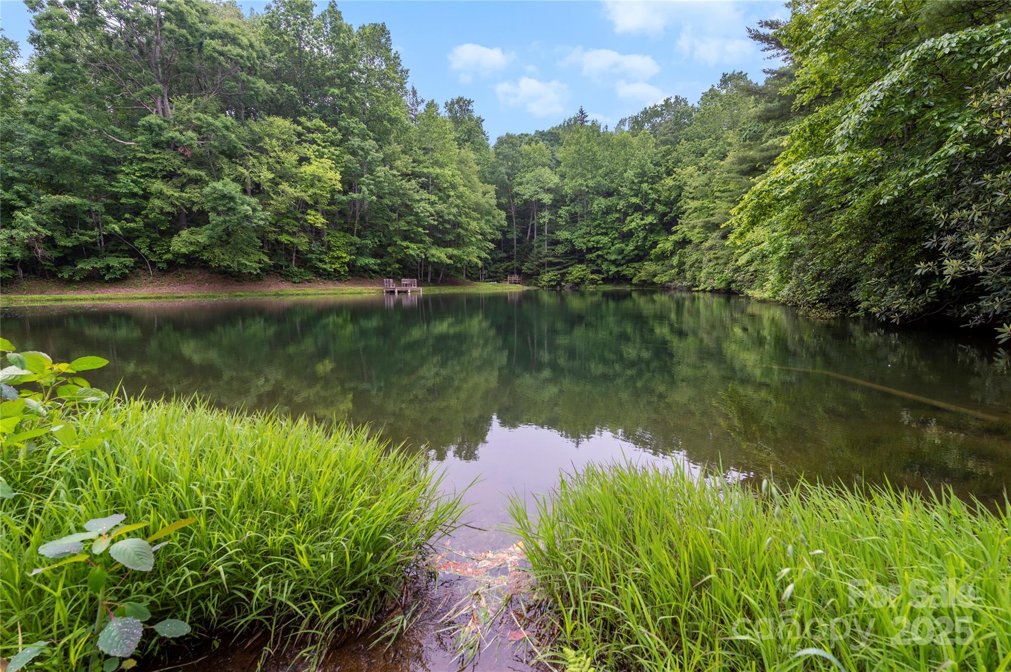 68 Huckleberry Ridge Lane Zirconia, NC 28790 - Photo 36 of 45