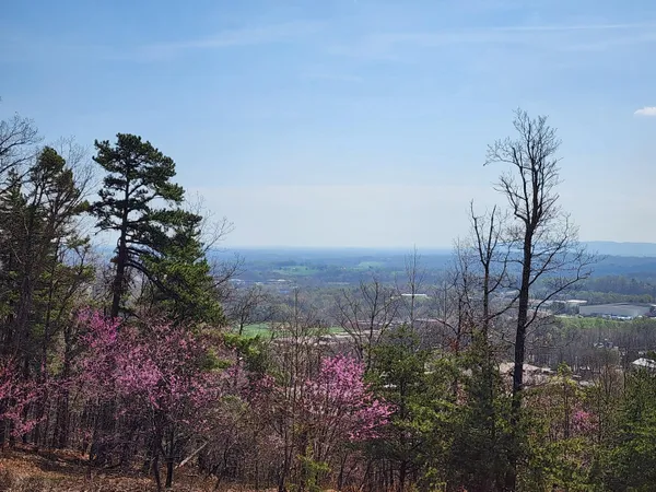 $55,000 | Lot 44 Summit Drive, Rocky Mount, VA 24151