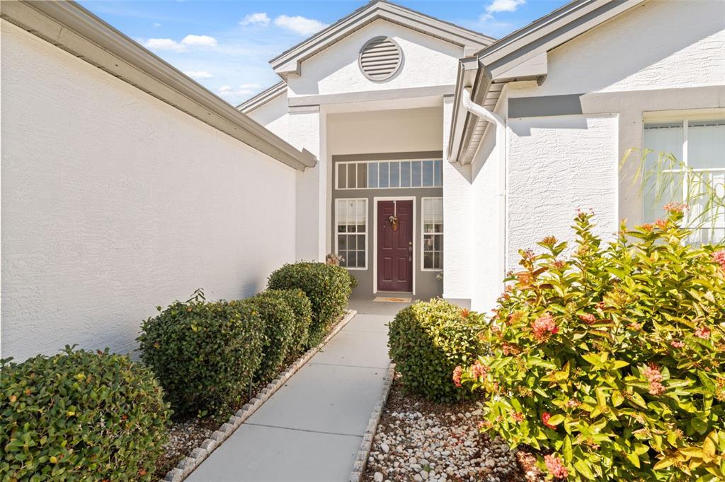 5301 El Cerro Drive New Port Richey, FL 34655 - Photo 6 of 31 a front view of a house with a yard