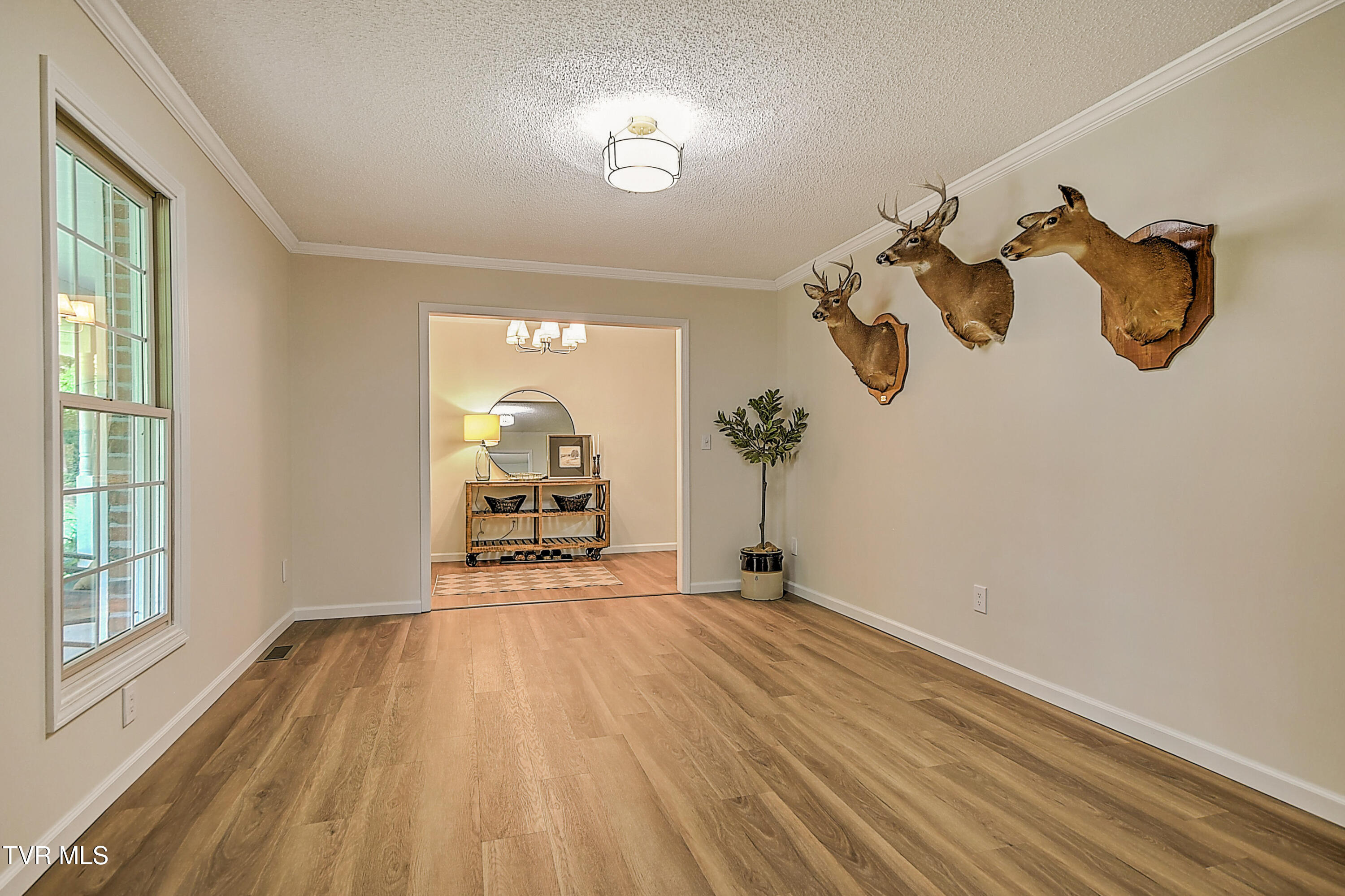 145 Zeb Grindstaff Road Elizabethton, TN 37643 - Photo 10 of 68 145 Zeb Grindstaff JV-11