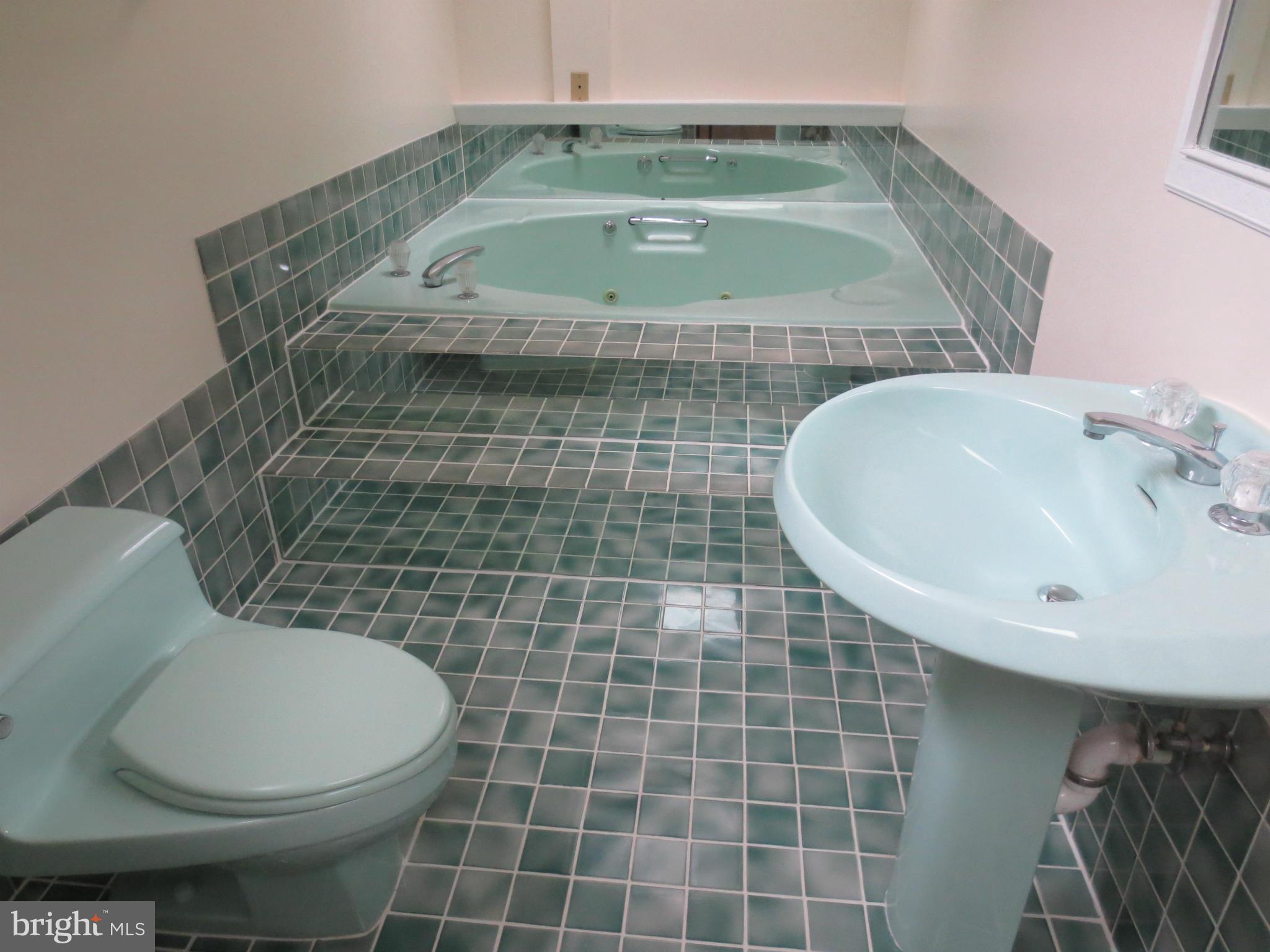 1305 Gahant Road Alexandria, VA 22308 - Photo 26 of 30 Bath