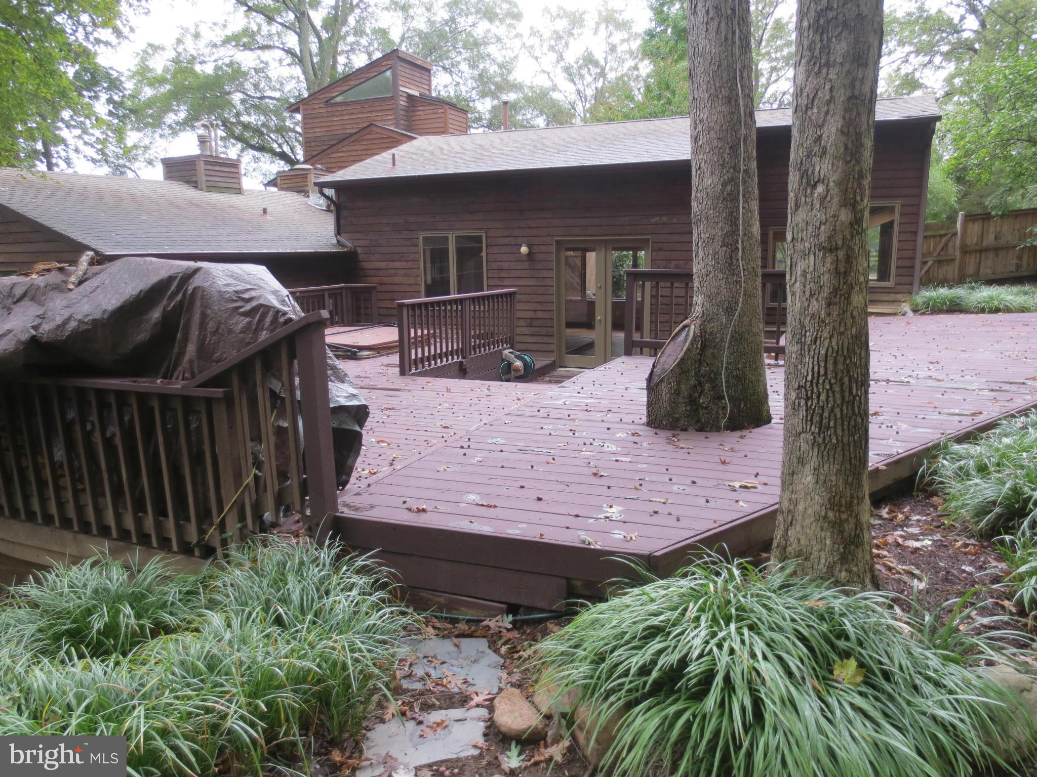 1305 Gahant Road Alexandria, VA 22308 - Photo 28 of 30 Exterior (Rear)