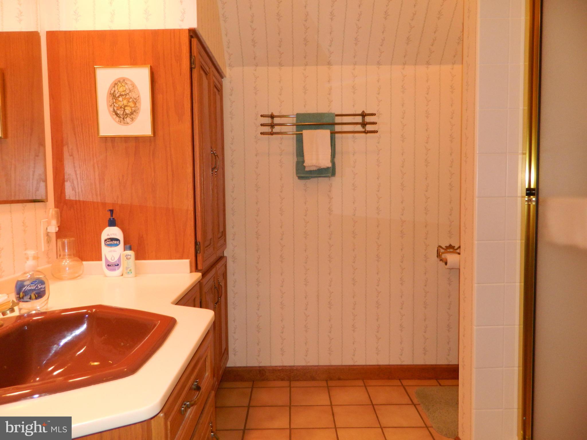 21119 Millers Mill Road Freeland, MD 21053 - Photo 22 of 30 Bath