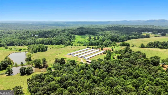 a view of a garden with a building in the background