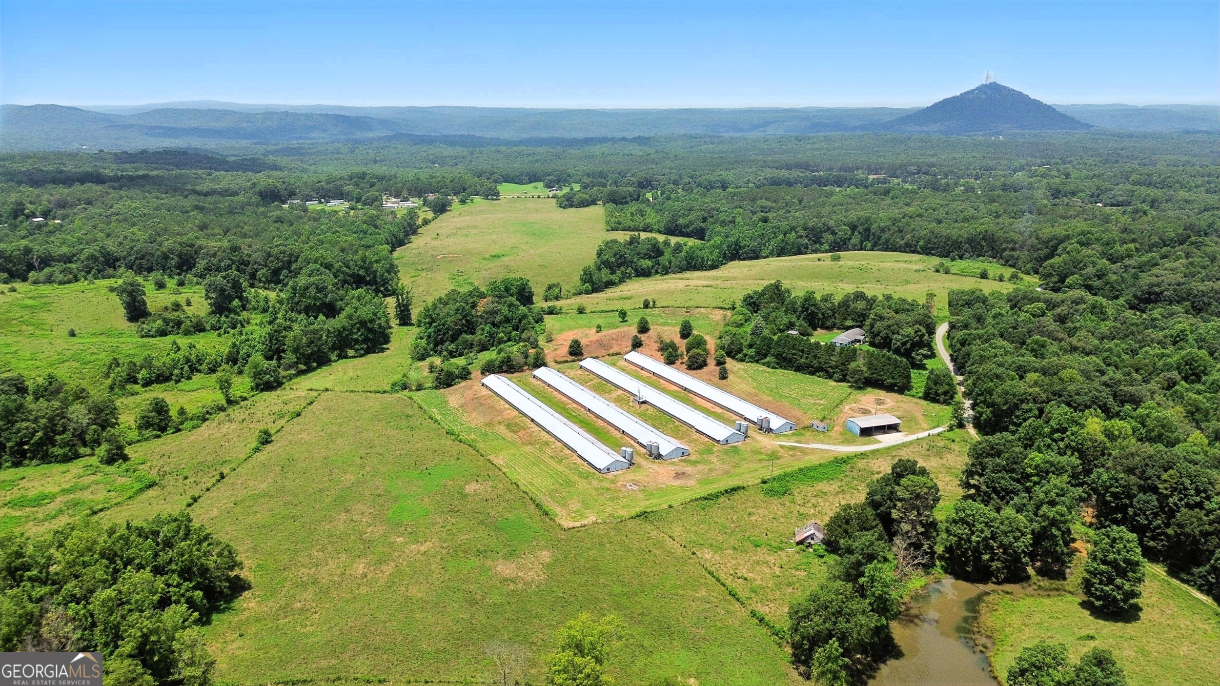 334 Brock Road Toccoa, GA 30577 - Photo 3 of 17 a view of a lake with a mountain