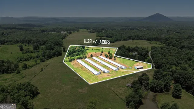 a view of a back yard