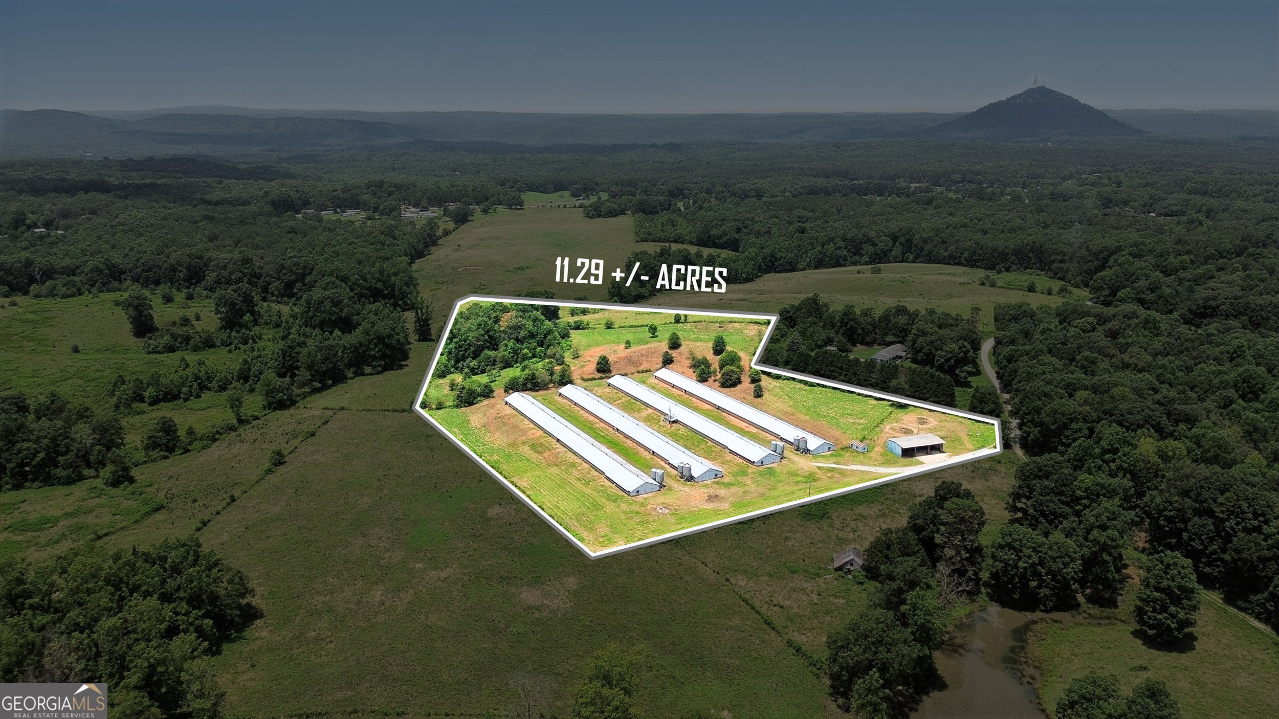 334 Brock Road Toccoa, GA 30577 - Photo 4 of 17 a view of a back yard