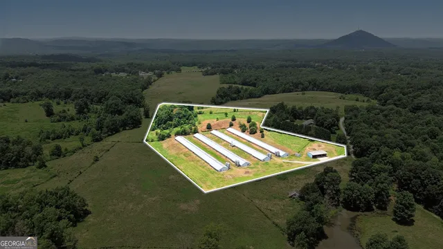 a view of a small pool with a yard