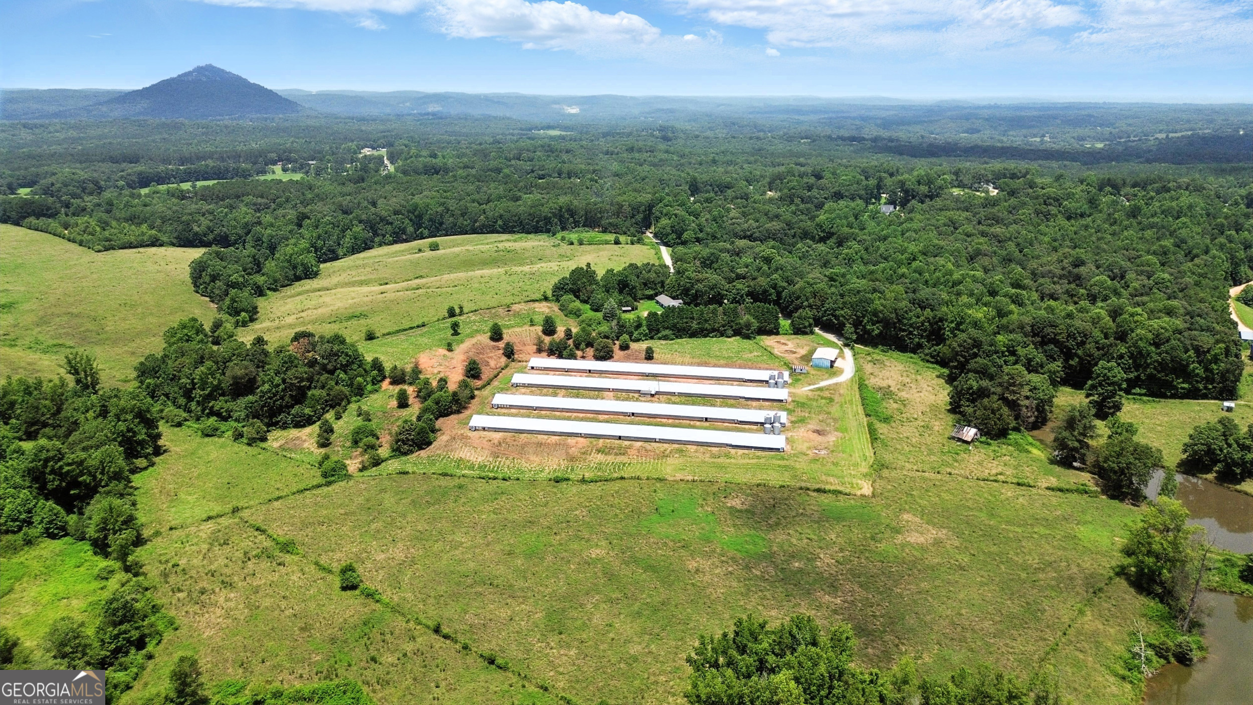 334 Brock Road Toccoa, GA 30577 - Photo 6 of 17 a view of a swimming pool with a yard