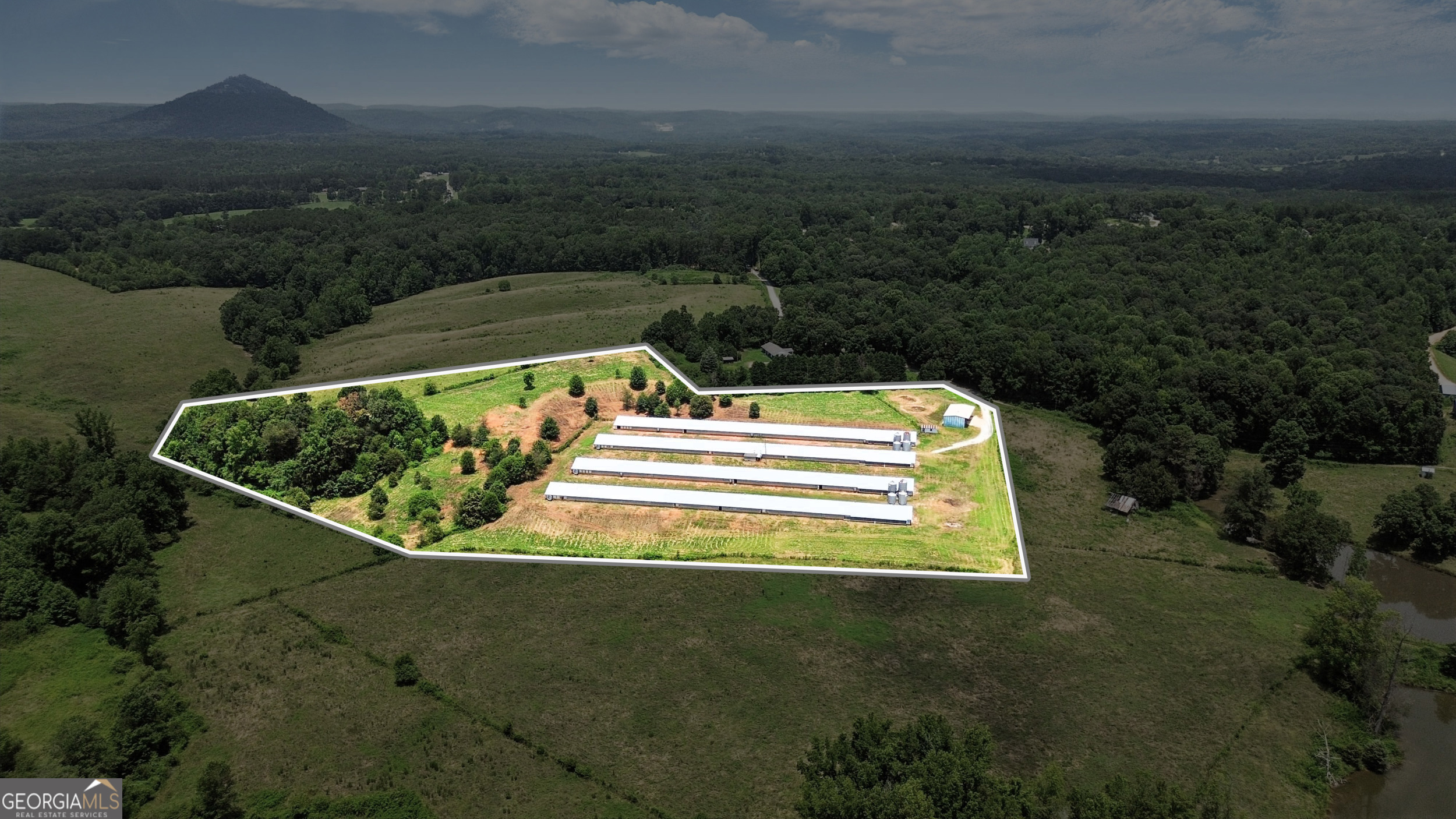 334 Brock Road Toccoa, GA 30577 - Photo 7 of 17 a view of a yard with lake and mountain view